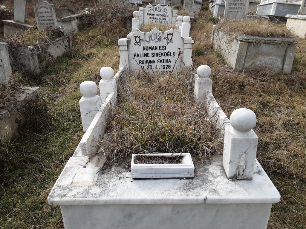 HALİME  SİNEKOĞLU kabir görseli