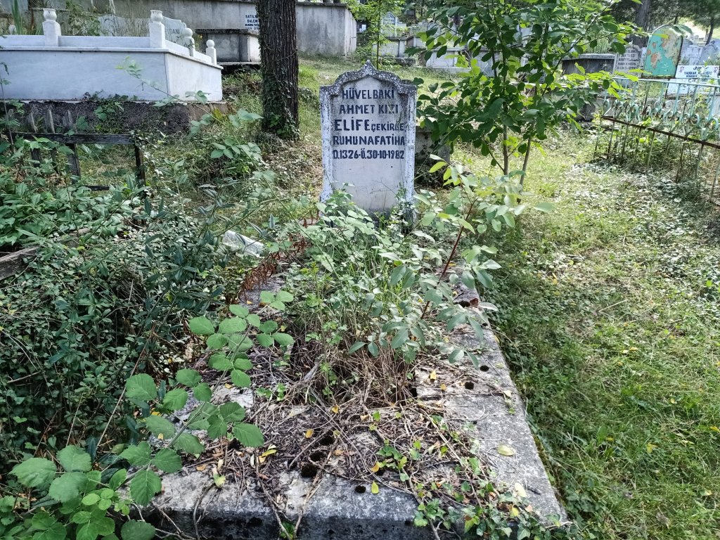 ELİFE ÇEKİRGE  kabir görseli