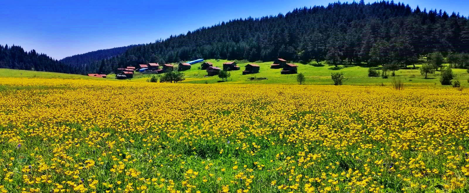 Araç Belediyesi Keşfet