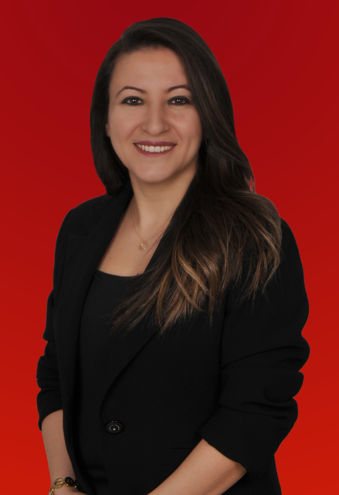 Meclis Üyesi