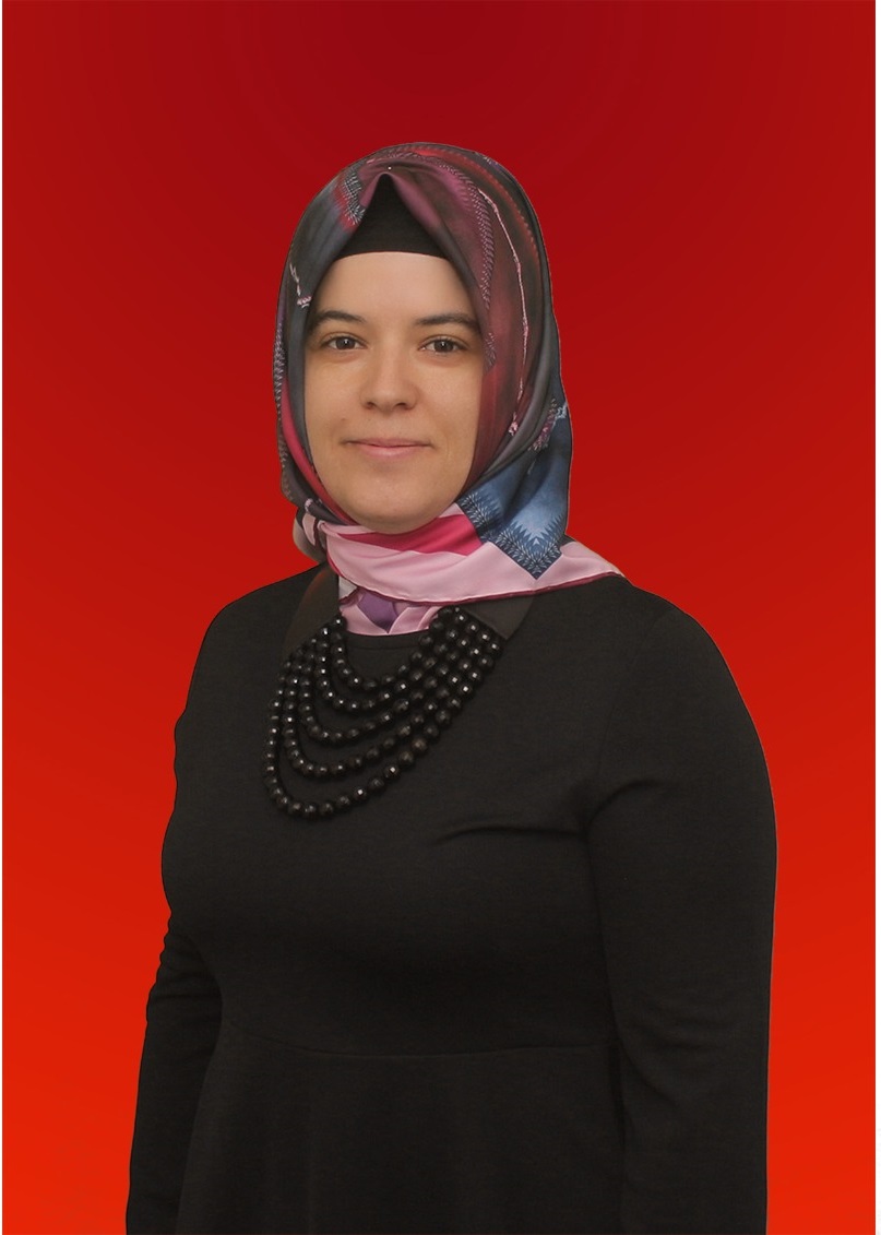Meclis Üyesi