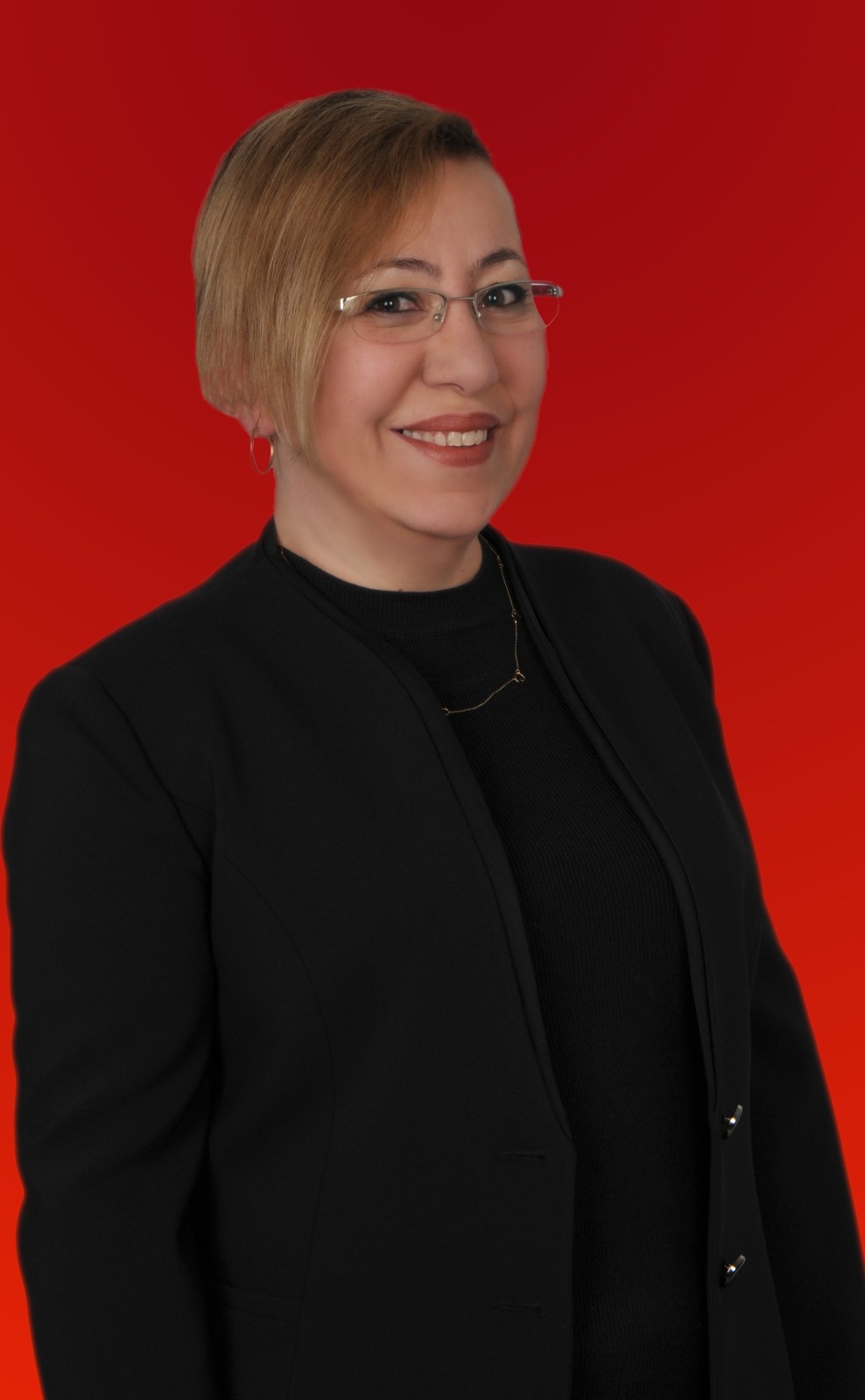 Meclis Üyesi
